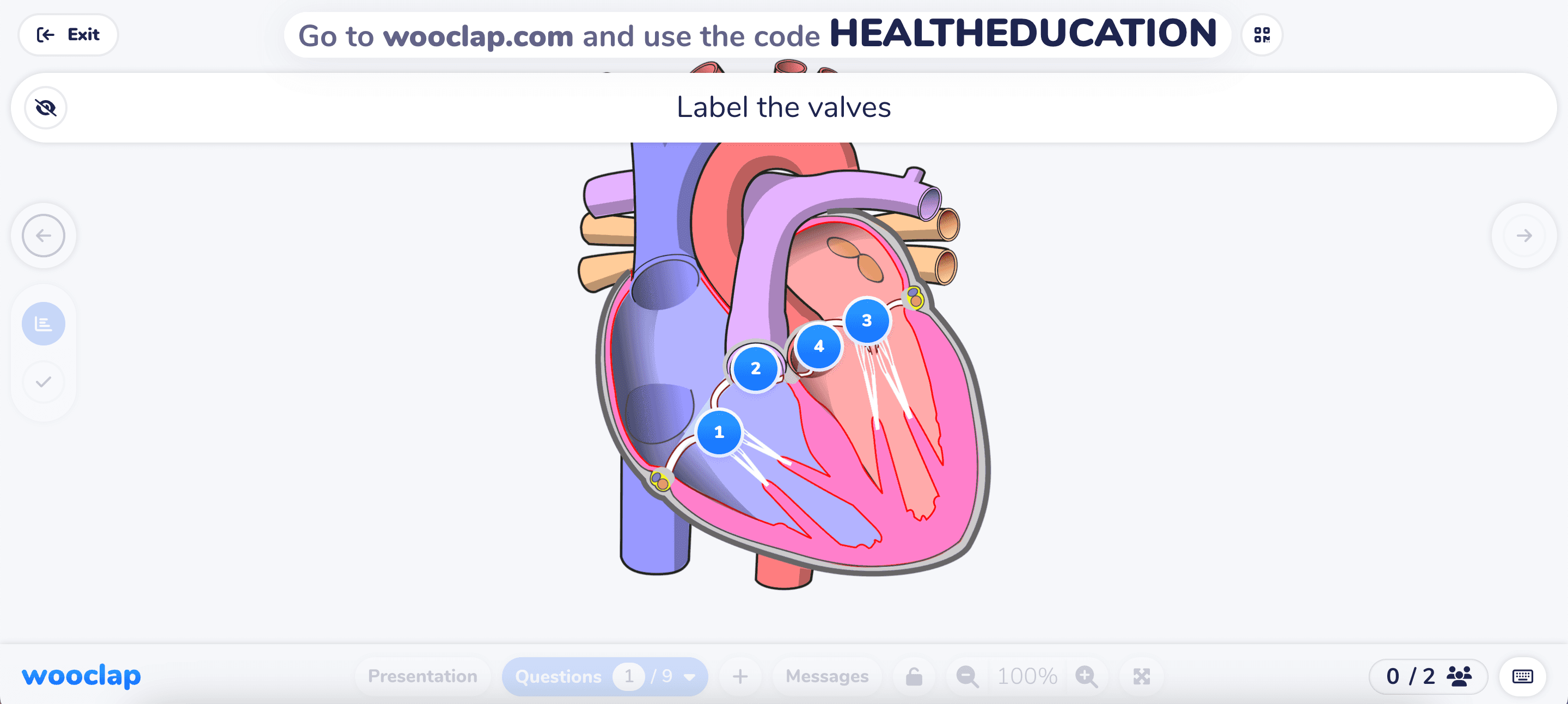 Label an image - Students identify and label the different parts of a heart diagram 